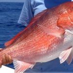 Calibrated Tours and Fishing Charters